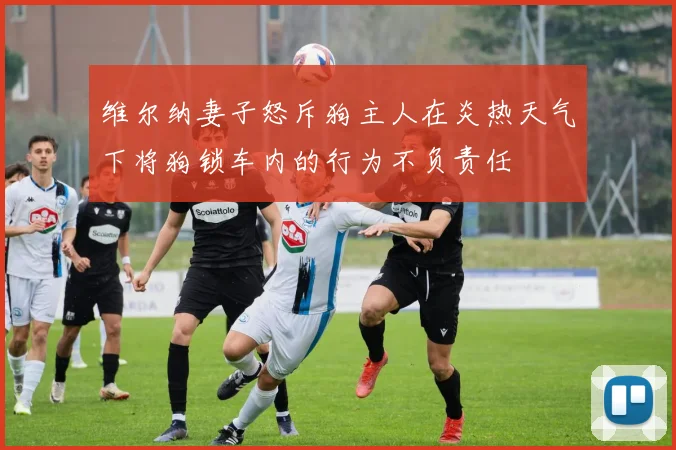 维尔纳妻子怒斥狗主人在炎热天气下将狗锁车内的行为不负责任