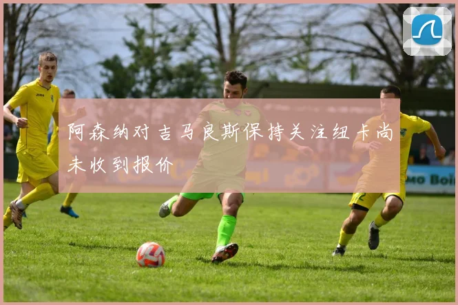 阿森纳对吉马良斯保持关注纽卡尚未收到报价