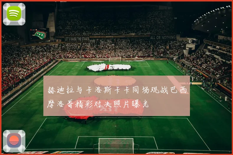 赫迪拉与卡洛斯卡卡同场观战巴西摩洛哥精彩对决照片曝光