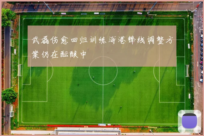 武磊伤愈回归训练海港锋线调整方案仍在酝酿中